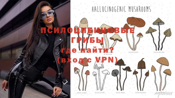 MESCALINE Волоколамск