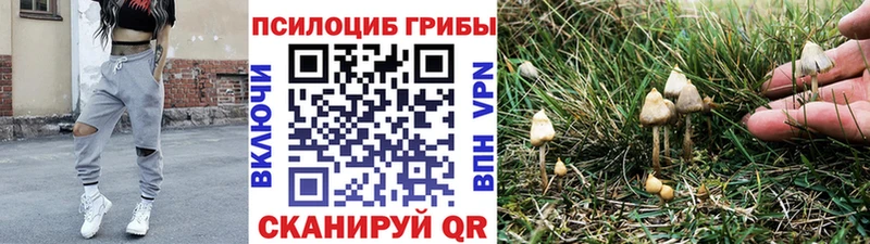 Псилоцибиновые грибы Cubensis  blacksprut зеркало  Заозёрный 